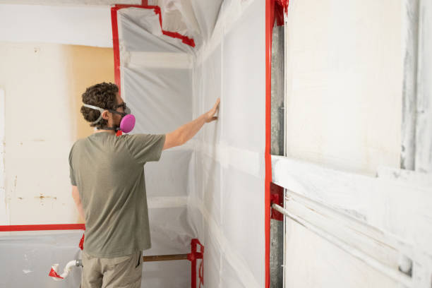 Ben Avon, PA Mold Removal Company