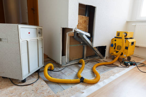 Biohazard Mold Removal in Ben Avon, PA